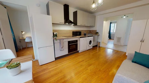 Private room at 33 Cr Dr Jean Damidot, 69100 Villeurbanne, France, image 12 of 13