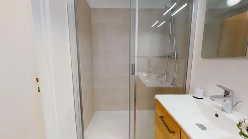 Private room at 33 Cr Dr Jean Damidot, 69100 Villeurbanne, France, image 6 of 13