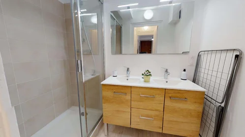Private room at 33 Cr Dr Jean Damidot, 69100 Villeurbanne, France, image 7 of 13