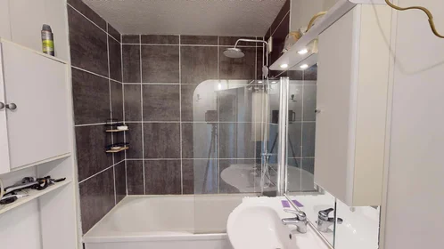 Privatzimmer in der 6 All. de la Colline, 38100 Grenoble, France, bild 13 von 18