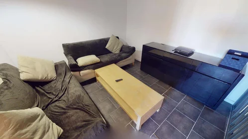 Privatzimmer in der 6 All. de la Colline, 38100 Grenoble, France, bild 14 von 18