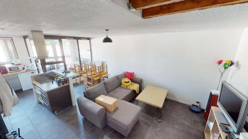 Privatzimmer in der 6 All. de la Colline, 38100 Grenoble, France, bild 4 von 18
