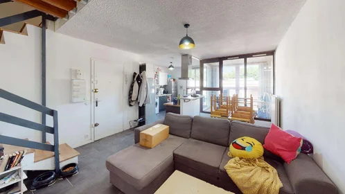 Privatzimmer in der 6 All. de la Colline, 38100 Grenoble, France, bild 8 von 18