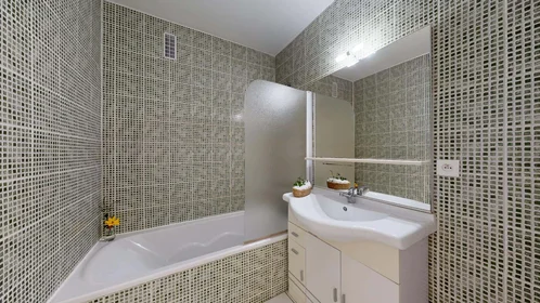 Stanza privata in 10 Rue du Galtz, 68000 Colmar, France, immagine 11 di 12