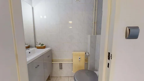 Stanza privata in 10 Rue du Galtz, 68000 Colmar, France, immagine 12 di 12