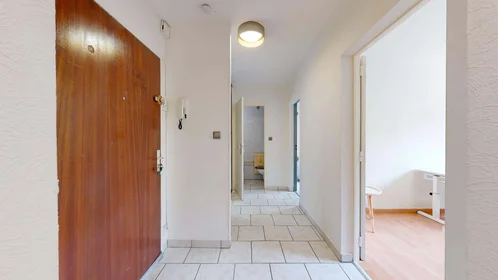 Stanza privata in 10 Rue du Galtz, 68000 Colmar, France, immagine 6 di 12