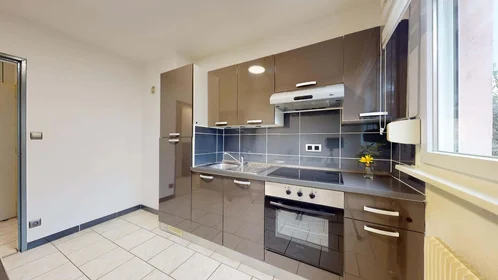 Stanza privata in 10 Rue du Galtz, 68000 Colmar, France, immagine 8 di 12