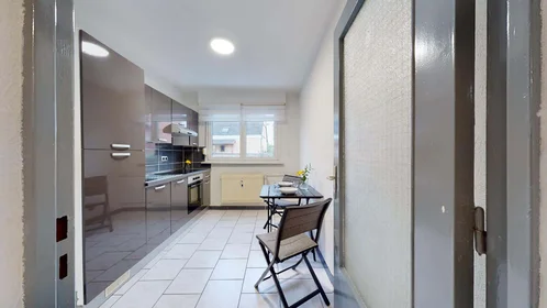 Stanza privata in 10 Rue du Galtz, 68000 Colmar, France, immagine 9 di 12