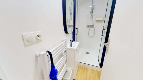 Prywatny pokój 6 Rue Pasteur, 64000 Pau, France, obraz 11 13
