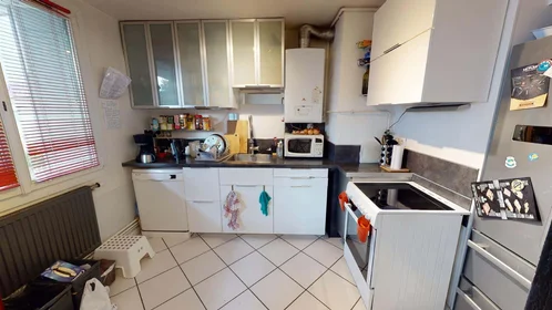 Privatzimmer in der 35 Bd Joseph Vallier, 38100 Grenoble, France, bild 7 von 14