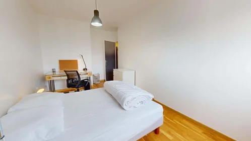 Habitación privada en 8 Av. Salvador Allende, 69100 Villeurbanne, France, imagen 2 de 20