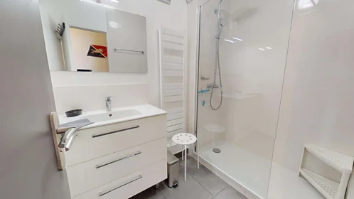Habitación privada en 8 Av. Salvador Allende, 69100 Villeurbanne, France, imagen 13 de 20