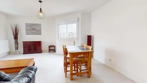 Habitación privada en 8 Av. Salvador Allende, 69100 Villeurbanne, France, imagen 16 de 20