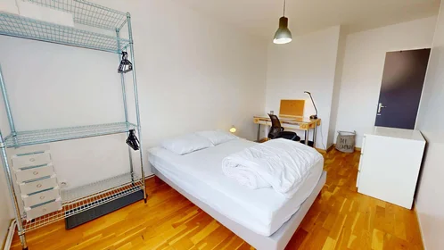 Habitación privada en 8 Av. Salvador Allende, 69100 Villeurbanne, France, imagen 3 de 20