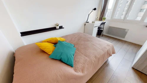 Stanza privata in 140 Cr Émile-Zola, 69100 Villeurbanne, France, immagine 1 di 16
