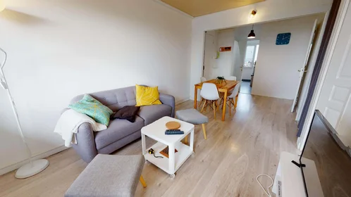 Stanza privata in 140 Cr Émile-Zola, 69100 Villeurbanne, France, immagine 13 di 16
