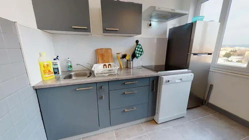 Stanza privata in 140 Cr Émile-Zola, 69100 Villeurbanne, France, immagine 6 di 16
