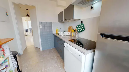 Stanza privata in 140 Cr Émile-Zola, 69100 Villeurbanne, France, immagine 7 di 16