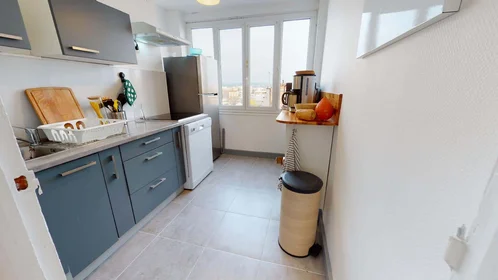 Stanza privata in 140 Cr Émile-Zola, 69100 Villeurbanne, France, immagine 8 di 16
