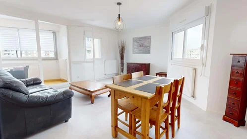 Habitación privada en 8 Av. Salvador Allende, 69100 Villeurbanne, France, imagen 3 de 19
