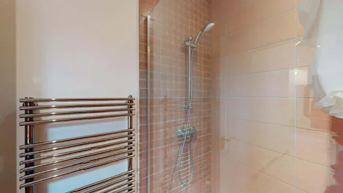 Habitación privada en 33 Rue Auguste Kervern, 29200 Brest, France, imagen 22 de 23