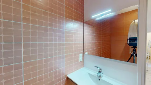 Habitación privada en 33 Rue Auguste Kervern, 29200 Brest, France, imagen 23 de 23