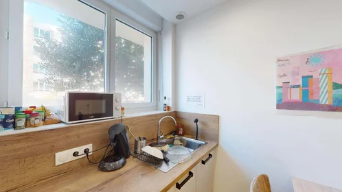 Habitación privada en 33 Rue Auguste Kervern, 29200 Brest, France, imagen 10 de 23