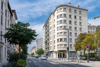 Stanza privata in 301 Cr Émile-Zola, 69100 Villeurbanne, France, immagine 4 di 17