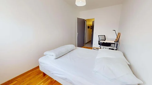 Habitación privada en 8 Av. Salvador Allende, 69100 Villeurbanne, France, imagen 2 de 20