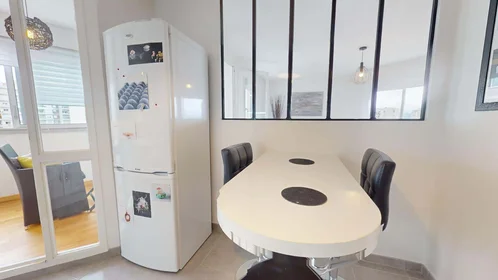 Habitación privada en 8 Av. Salvador Allende, 69100 Villeurbanne, France, imagen 6 de 20
