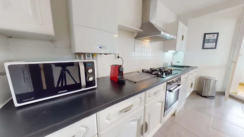 Habitación privada en 8 Av. Salvador Allende, 69100 Villeurbanne, France, imagen 8 de 20