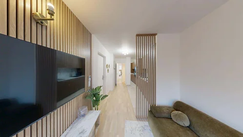 Stanza privata in 84 Rue Bizet, 94800 Villejuif, France, immagine 9 di 23