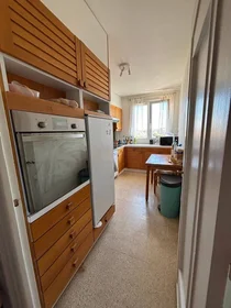 Privatzimmer in der Troyes, 10000, bild 6 von 20