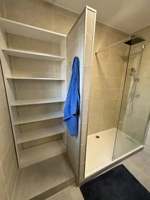 Stanza privata in Montpellier, 34080, immagine 12 di 13