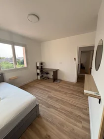 Stanza privata in Montpellier, 34080, immagine 9 di 13