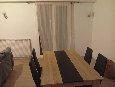Stanza privata in Limoges, 87100, immagine 3 di 7