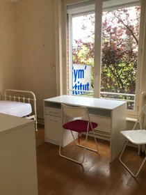 Habitación privada en Rue Maréchal de Lattre de Tassigny, imagen 11 de 14