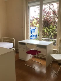 Habitación privada en Rue Maréchal de Lattre de Tassigny, imagen 1 de 14