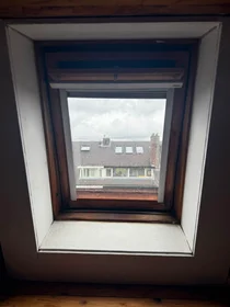 Stüdyo daire konumu Goeman Borgesiusstraat, 3 4 görüntüsü