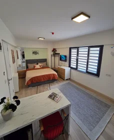 Appartamento intero in Sarmaşık Sokak, immagine 1 di 34