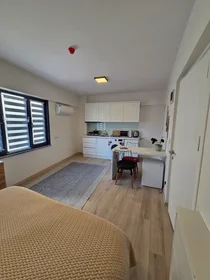 Appartamento intero in Sarmaşık Sokak, immagine 15 di 34