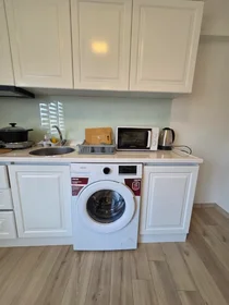 Appartamento intero in Sarmaşık Sokak, immagine 16 di 34