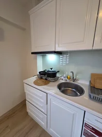 Appartamento intero in Sarmaşık Sokak, immagine 17 di 34