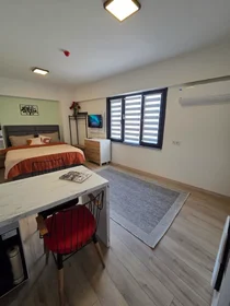 Appartamento intero in Sarmaşık Sokak, immagine 8 di 34