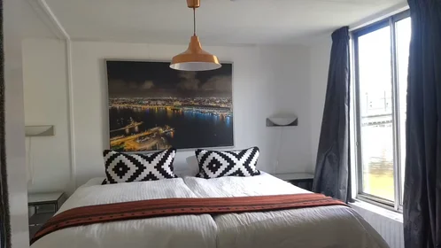 Entire apartment at Amstel, Amsterdam-Centrum, image 6 of 8