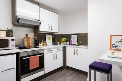 Privatzimmer im Wohnheim in der 19 Marlborough St, Leeds LS1 4LA, United Kingdom, bild 20 von 22