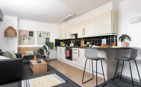 Privatzimmer im Wohnheim in der The Plaza, Clay Pit Ln, Leeds LS2 8AR, United Kingdom , bild 29 von 29