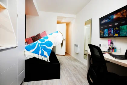 Estudio en residencia en Strawberry Pl, Newcastle upon Tyne NE1 4DS, United Kingdom, imagen 2 de 32
