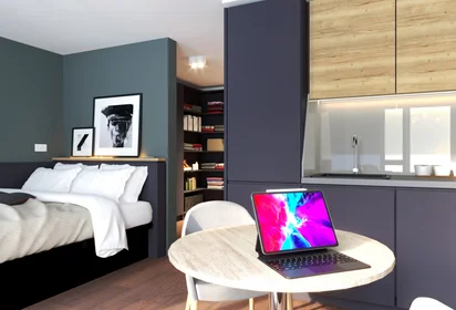 Estudio en residencia en Strawberry Pl, Newcastle upon Tyne NE1 4DS, United Kingdom, imagen 22 de 32