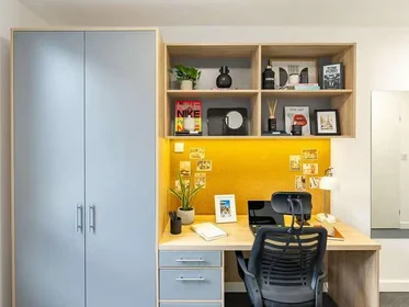 Stanza privata in residence in Globe Works, 20 Cliveland St, Birmingham B19 3SH, United Kingdom           , immagine 2 di 49